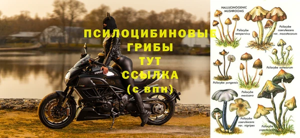 первитин Балахна