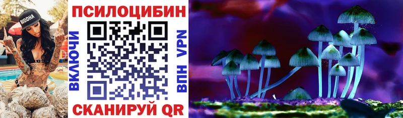 Псилоцибиновые грибы GOLDEN TEACHER  купить  цена  МЕГА ССЫЛКА  Унеча 